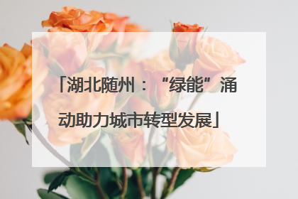 湖北随州：“绿能”涌动助力城市转型发展
