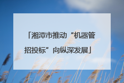湘潭市推动“机器管招投标”向纵深发展