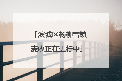 滨城区杨柳雪镇麦收正在进行中
