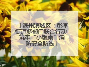 滨州滨城区：彭李街道多部门联合行动 筑牢“小饭桌”消防安全防线