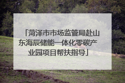 菏泽市市场监管局赴山东海辰储能一体化零碳产业园项目帮扶指导