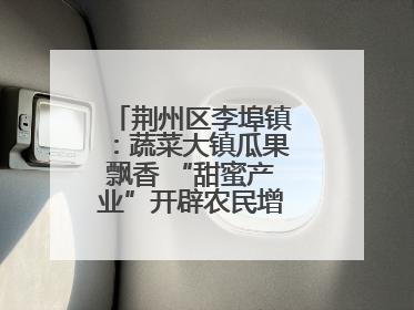 荆州区李埠镇：蔬菜大镇瓜果飘香 “甜蜜产业”开辟农民增收“新赛道”