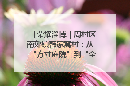 荣耀淄博｜周村区南郊镇韩家窝村：从“方寸庭院”到“全域文明”，乡村振兴的“美学革命”