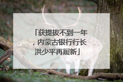 获提拔不到一年，内蒙古银行行长洪少平再履新