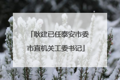 耿建已任泰安市委市直机关工委书记