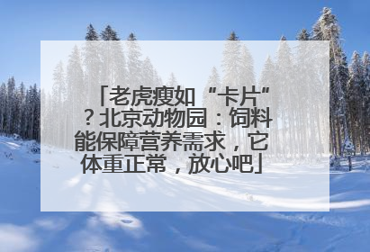 老虎瘦如“卡片”？北京动物园：饲料能保障营养需求，它体重正常，放心吧