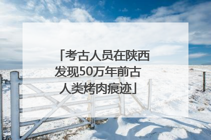 考古人员在陕西发现50万年前古人类烤肉痕迹
