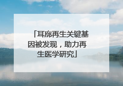 耳廓再生关键基因被发现，助力再生医学研究