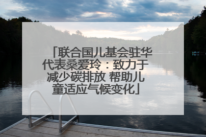 联合国儿基会驻华代表桑爱玲：致力于减少碳排放 帮助儿童适应气候变化