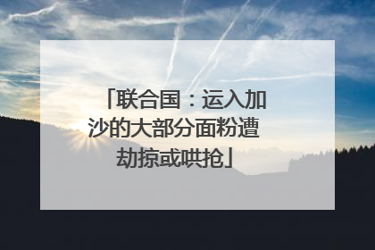 联合国：运入加沙的大部分面粉遭劫掠或哄抢