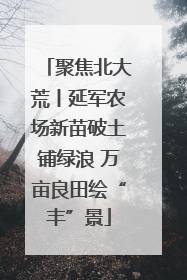 聚焦北大荒丨延军农场新苗破土铺绿浪 万亩良田绘“丰”景