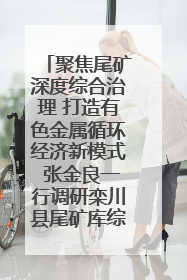 聚焦尾矿深度综合治理 打造有色金属循环经济新模式 张金良一行调研栾川县尾矿库综合治理工作