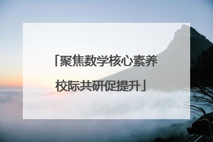 聚焦数学核心素养 校际共研促提升
