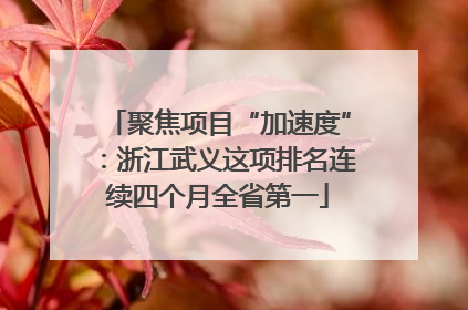 聚焦项目“加速度”：浙江武义这项排名连续四个月全省第一