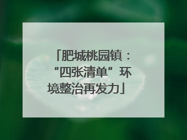 肥城桃园镇：“四张清单”环境整治再发力
