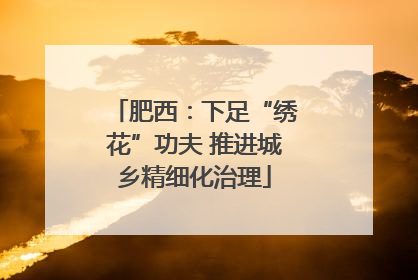 肥西：下足“绣花”功夫 推进城乡精细化治理