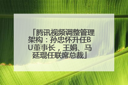 腾讯视频调整管理架构：孙忠怀升任BU董事长，王娟、马延琨任联席总裁