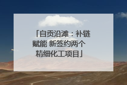 自贡沿滩：补链赋能 新签约两个精细化工项目