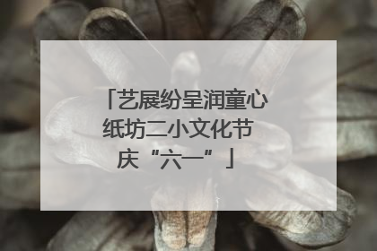 艺展纷呈润童心 纸坊二小文化节庆“六一”