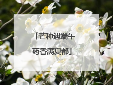芒种遇端午 药香满夏都
