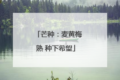 芒种：麦黄梅熟 种下希望
