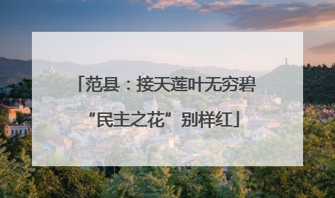 范县：接天莲叶无穷碧 “民主之花”别样红