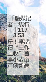 融媒记者一线行丨1173.53斤！李鹊镇“三作三收”首季小麦亩产创新高