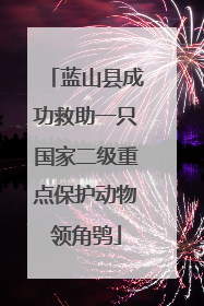 蓝山县成功救助一只国家二级重点保护动物领角鸮