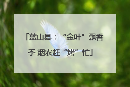 蓝山县：“金叶”飘香季 烟农赶“烤”忙