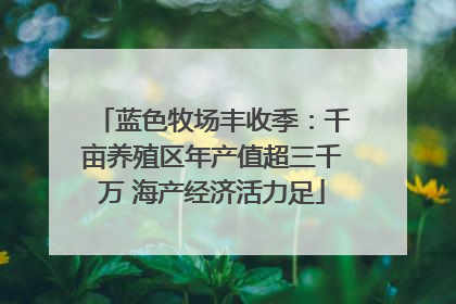 蓝色牧场丰收季：千亩养殖区年产值超三千万 海产经济活力足