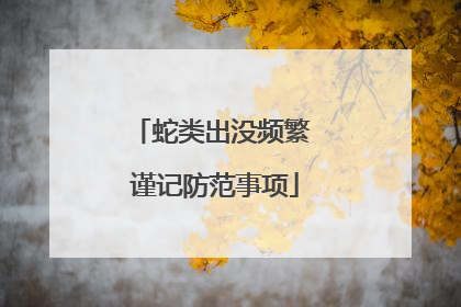 蛇类出没频繁 谨记防范事项