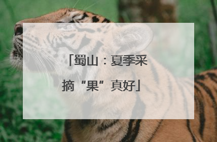 蜀山：夏季采摘“果”真好