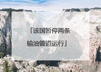 该国暂停两条输油管道运行