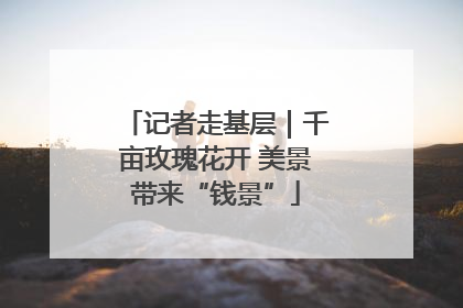 记者走基层｜千亩玫瑰花开 美景带来“钱景”