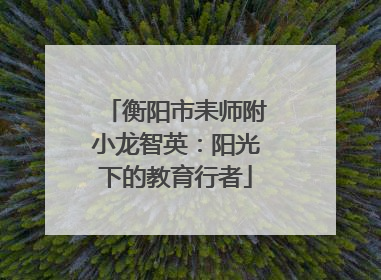 衡阳市耒师附小龙智英：阳光下的教育行者