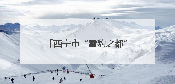 西宁市“雪豹之都”生态摄影展征稿启事