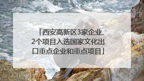西安高新区3家企业、2个项目入选国家文化出口重点企业和重点项目