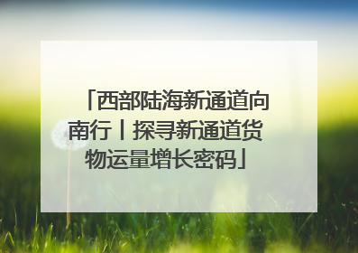 西部陆海新通道向南行丨探寻新通道货物运量增长密码