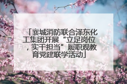 襄城消防联合泽东化工集团开展“立足岗位，实干担当”履职观教育党建联学活动