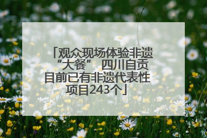 观众现场体验非遗“大餐” 四川自贡目前已有非遗代表性项目243个