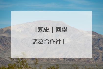 观史｜回望诸葛合作社