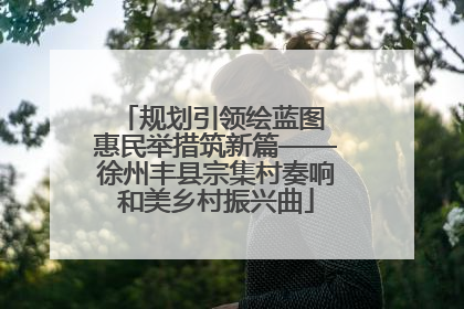 规划引领绘蓝图 惠民举措筑新篇——徐州丰县宗集村奏响和美乡村振兴曲