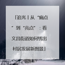 追光丨从“痛点”到“亮点”：看文昌街道如何绣出村居发展新图景