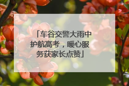 车谷交警大雨中护航高考，暖心服务获家长点赞
