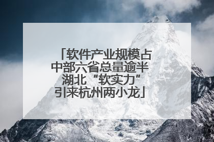 软件产业规模占中部六省总量逾半 湖北“软实力”引来杭州两小龙
