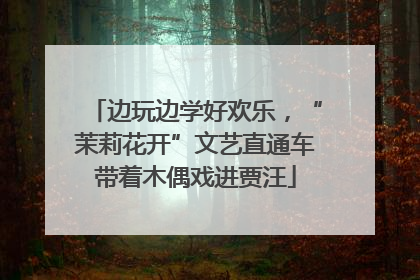 边玩边学好欢乐，“茉莉花开”文艺直通车带着木偶戏进贾汪