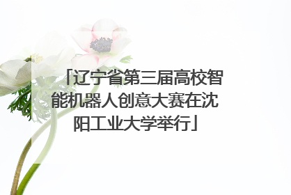 辽宁省第三届高校智能机器人创意大赛在沈阳工业大学举行