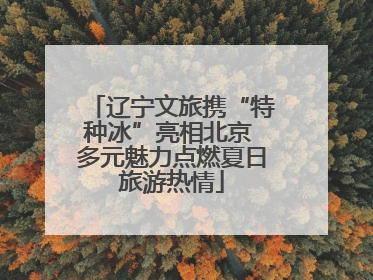 辽宁文旅携“特种冰”亮相北京 多元魅力点燃夏日旅游热情