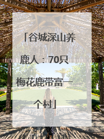 谷城深山养鹿人：70只梅花鹿带富一个村