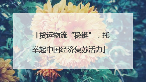 货运物流“稳链”，托举起中国经济复苏活力